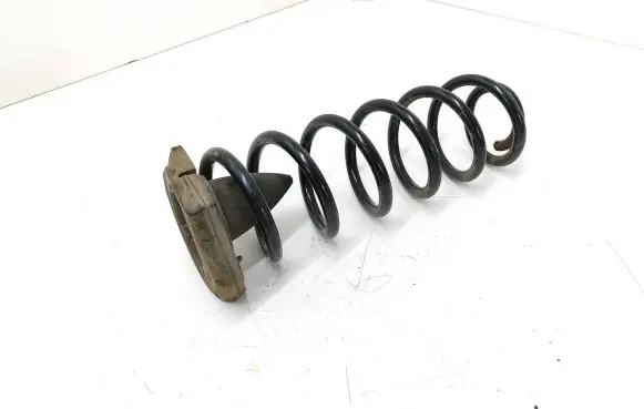 Renault Scenic III - Grand scenic III Rear coil spring