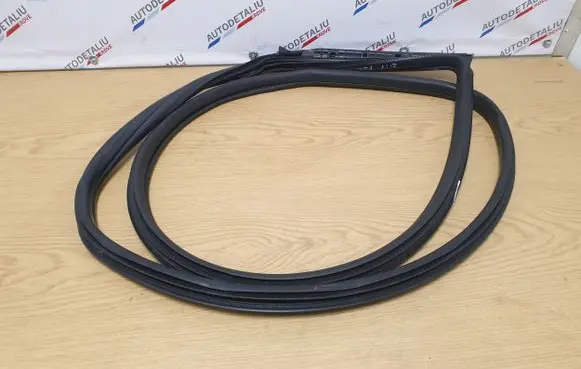 BMW 2 F22 F23 Front door rubber seal 7267911