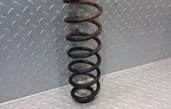 Skoda Roomster (5J) Rear shock absorber/damper