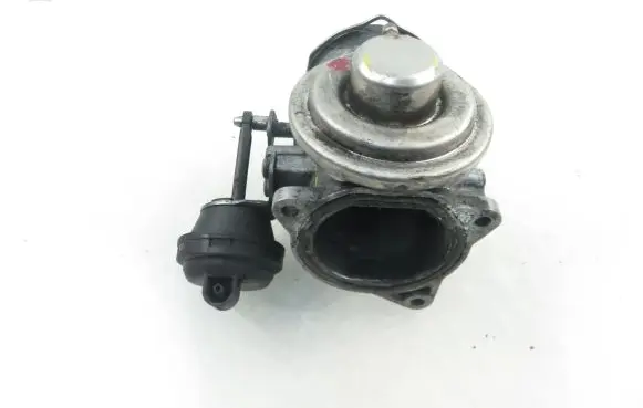 Seat Alhambra (Mk1) EGR valve 038129637L 038131501AL