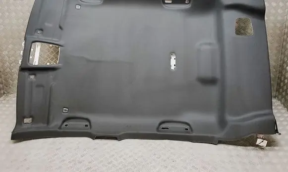 BMW X2 U10 Headlining 5A1F940