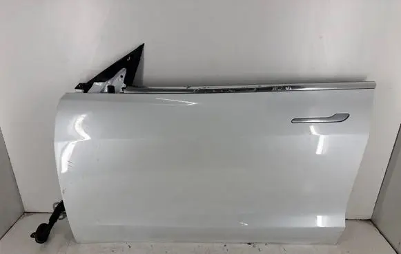Tesla Model 3 Front door 1081421E0C