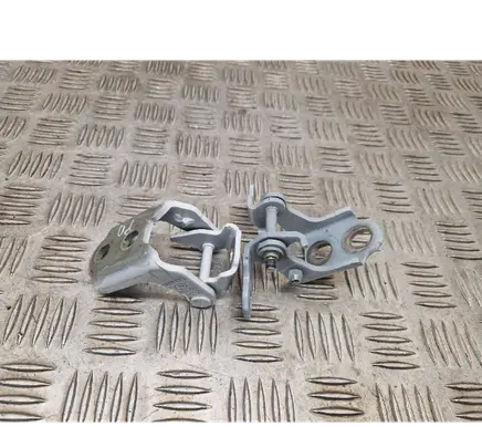 Renault Scenic IV - Grand scenic IV Front door hinge set 