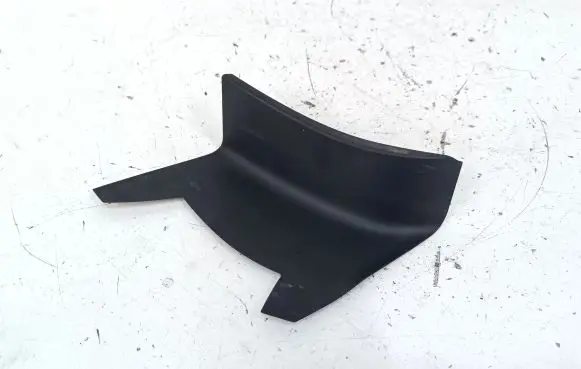 Rear/tail light trim molding