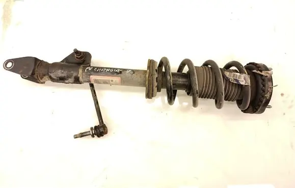 Dodge Charger Front shock absorber/damper P68072064AE