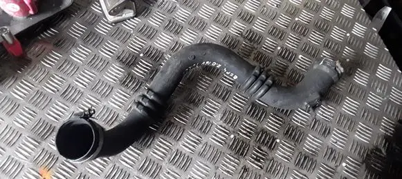 Renault Laguna II Intercooler hose/pipe 8200295043