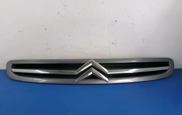 Citroen Xsara Picasso Front grill 9650059677
