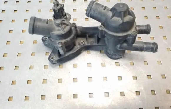 Thermostat/thermostat housing