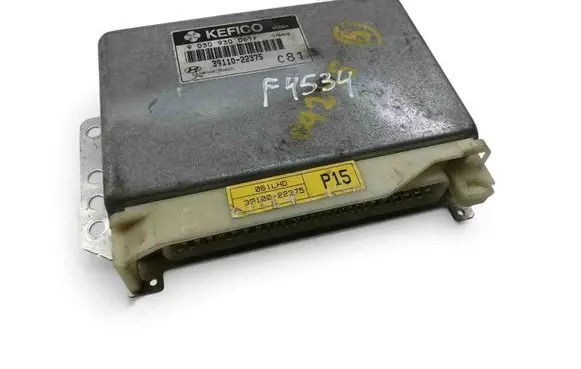 Engine control unit/module ECU