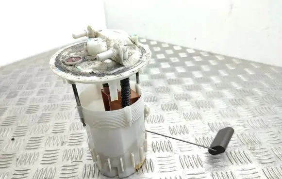 Renault Laguna III In-tank fuel pump 170110001R