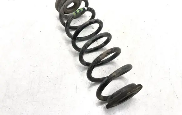 Rear coil spring