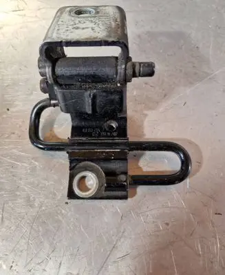 Rear door lower hinge