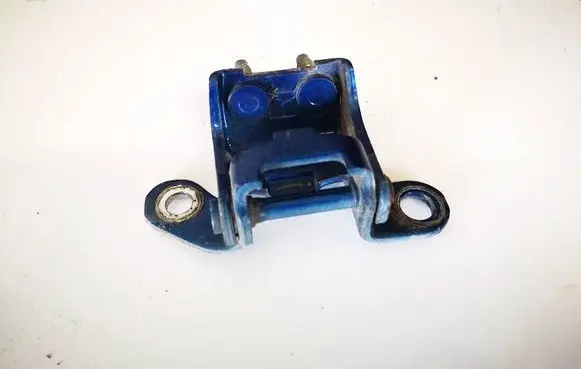 Rear door lower hinge