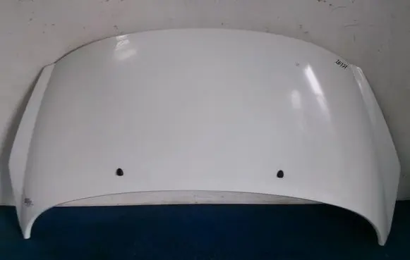 Engine bonnet/hood