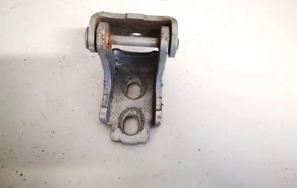 Rear door lower hinge