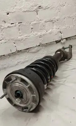 Jaguar F-Pace Front shock absorber with coil spring HK8318B036MF