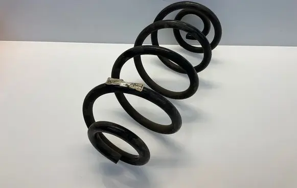 Rear coil spring