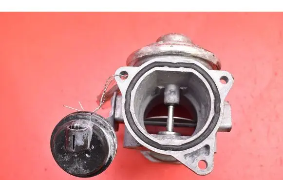 EGR valve