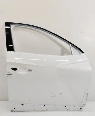 Hyundai Tucson IV NX4 Front door