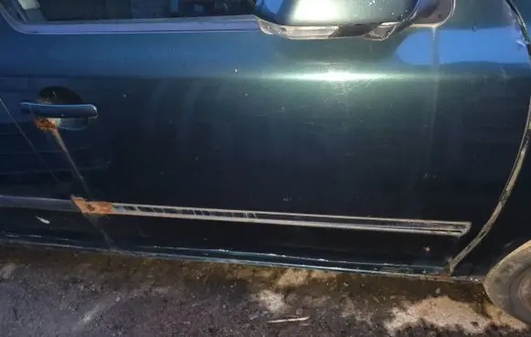 Skoda Octavia Mk2 (1Z) Front door
