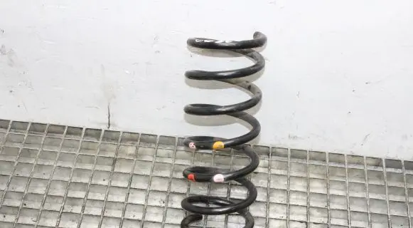 Ford C-MAX II Rear coil spring