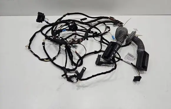 BMW 3 F30 F35 F31 Front door wiring loom 9286210 30082012D 045300215069601
