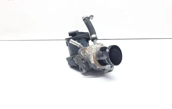 EGR valve
