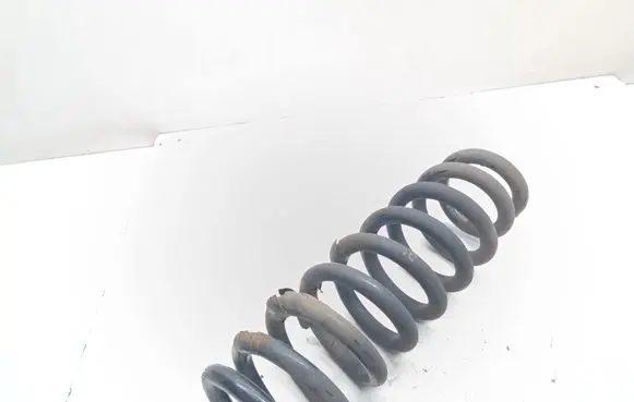 Rear coil spring