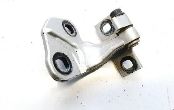 Rear door lower hinge