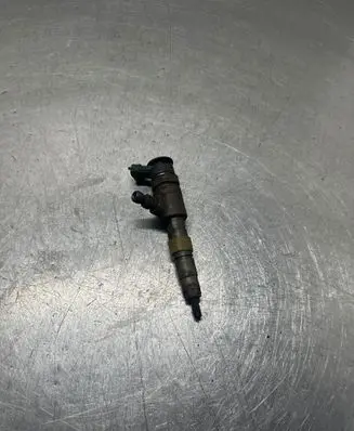 Peugeot Partner Fuel injector 0445110566