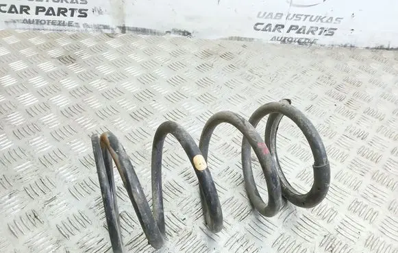 Toyota RAV 4 (XA20) Rear coil spring