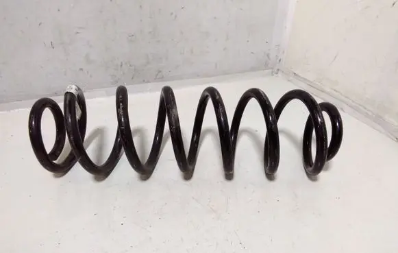 Volkswagen PASSAT B8 Rear coil spring