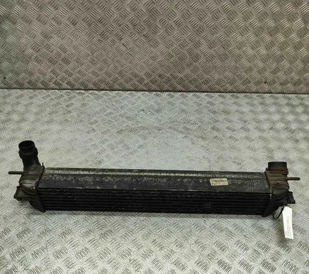 Renault Laguna III Intercooler radiator H9467002 144610001N