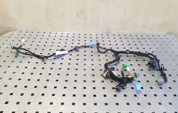 Front door wiring loom