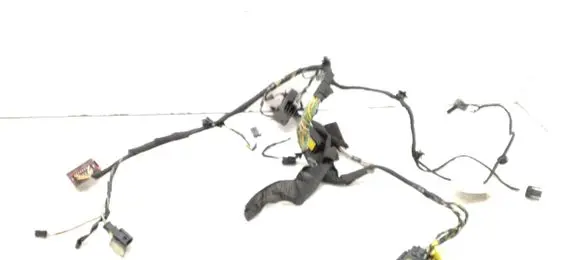 Citroen C6 Seat wiring loom 55PZV8F01