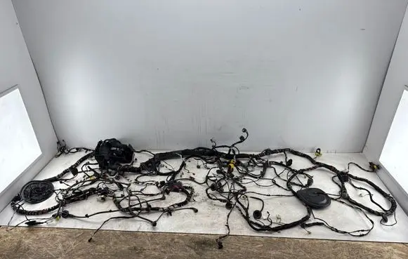 Volkswagen Golf VIII Wiring harness 5Q2971815B
