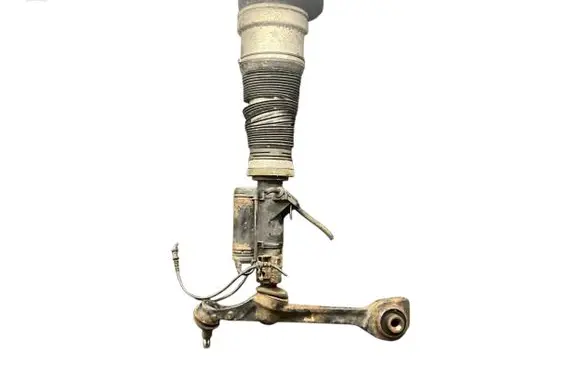 Mercedes-Benz S W221 Air suspension front shock absorber C086105