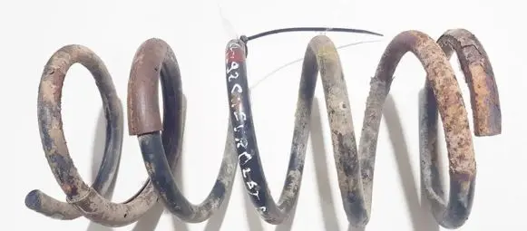 Chevrolet Tacuma Rear coil spring