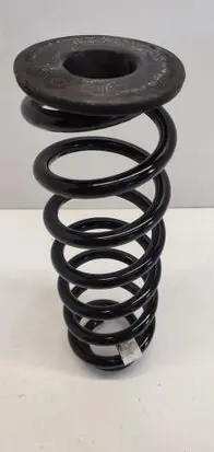 Rear coil spring