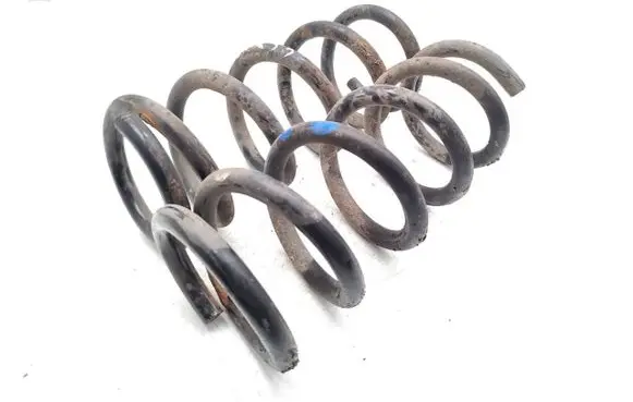 Rear coil spring