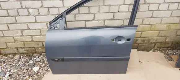Renault Megane II Front door TE266