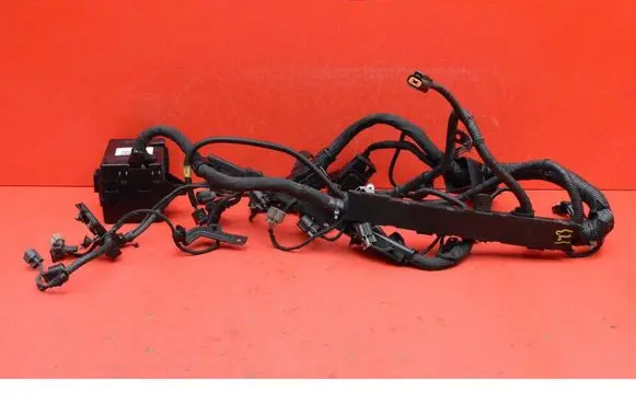Hyundai Genesis Other wiring loom 