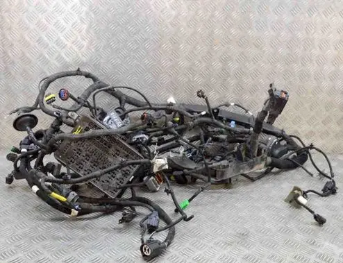 Maserati Quattroporte Other wiring loom 670007387