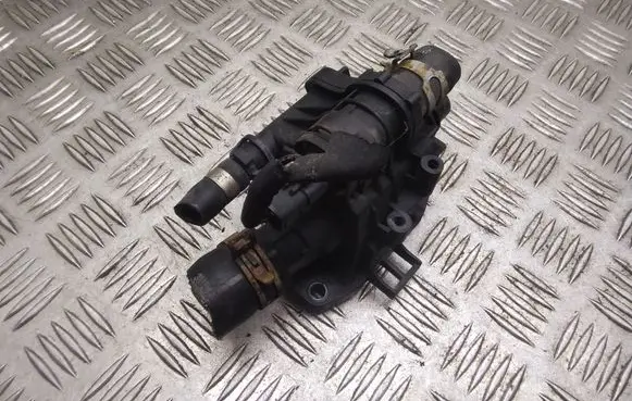 Thermostat/thermostat housing