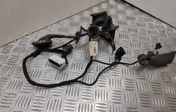 Rear door wiring loom