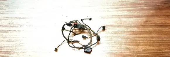 Front door wiring loom