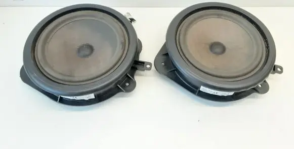 Rear door speaker