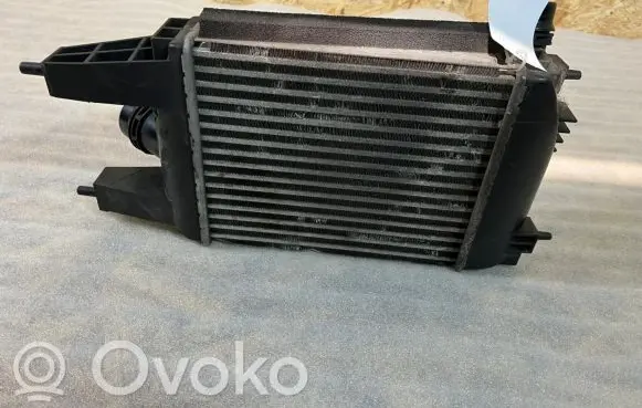 Nissan Juke I F15 Intercooler radiator 144613ZU0B