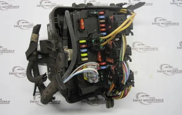 Citroen C3 Pluriel Fuse box set 9667199580