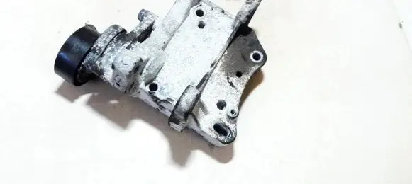 Citroen C3 Generator/alternator belt tensioner 9652073680